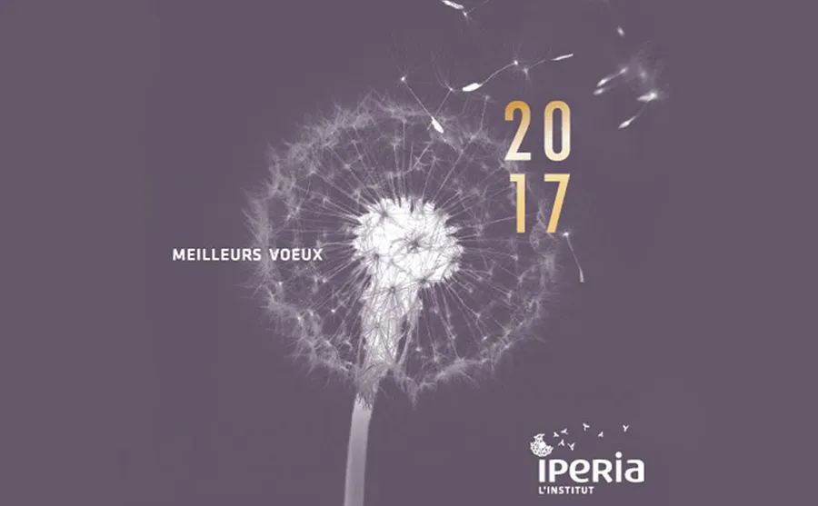 IPERIA l'Institut vous présente ses meilleurs vœux 2017