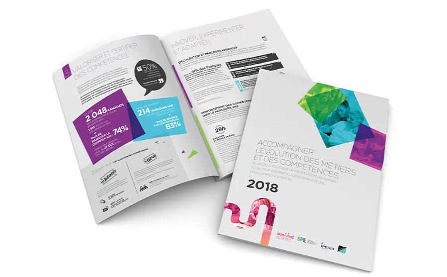 Professionalization Policy for the Individual Employment and Domestic Work Sector: A Very Positive 2018 Review!